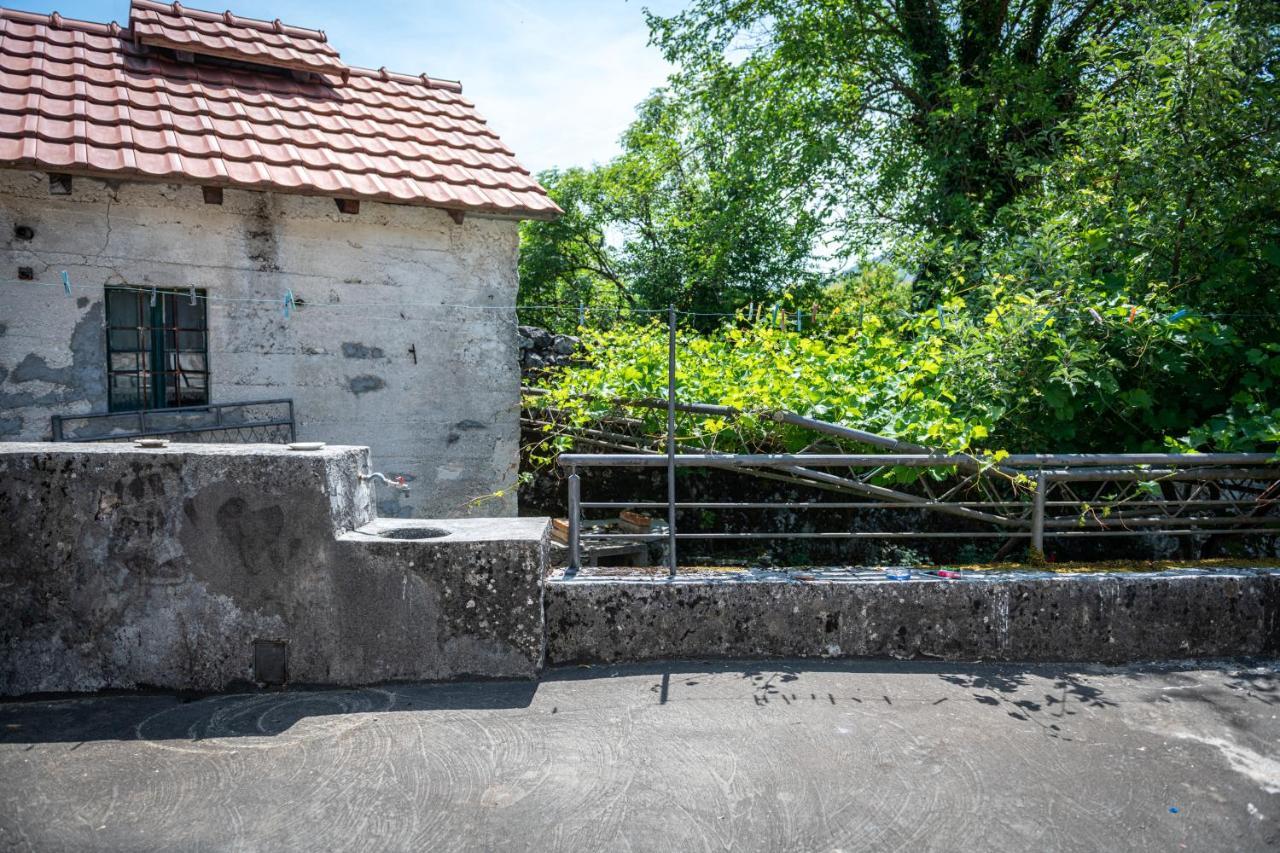 Guest House Gornji Ceklin Cetinje Exterior photo