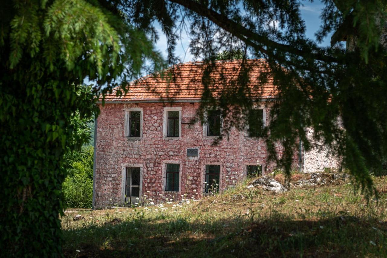 Guest House Gornji Ceklin Cetinje Exterior photo